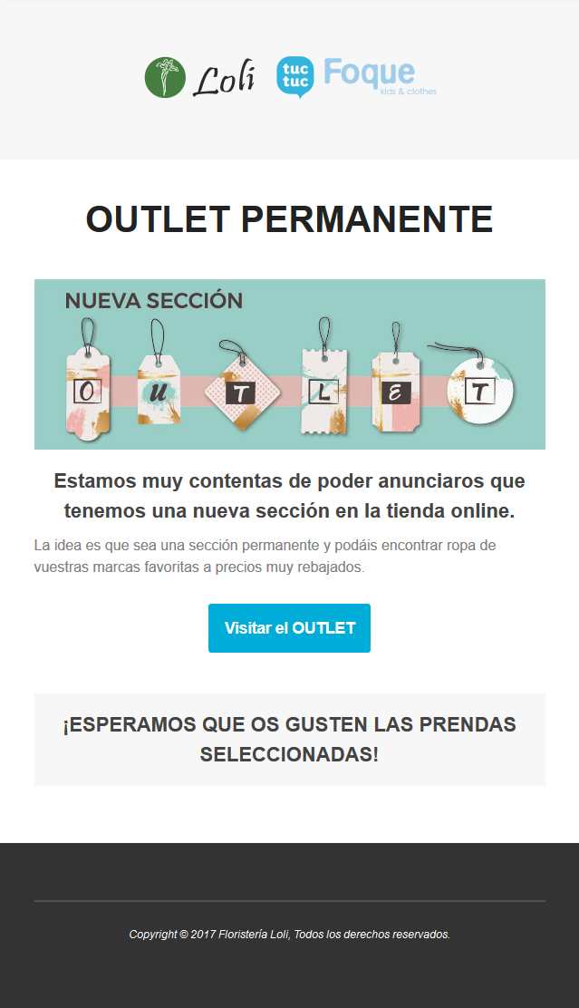 Creacion De Sistema De Email Marketing Con Mailchimp Microwebs Ewolutivas